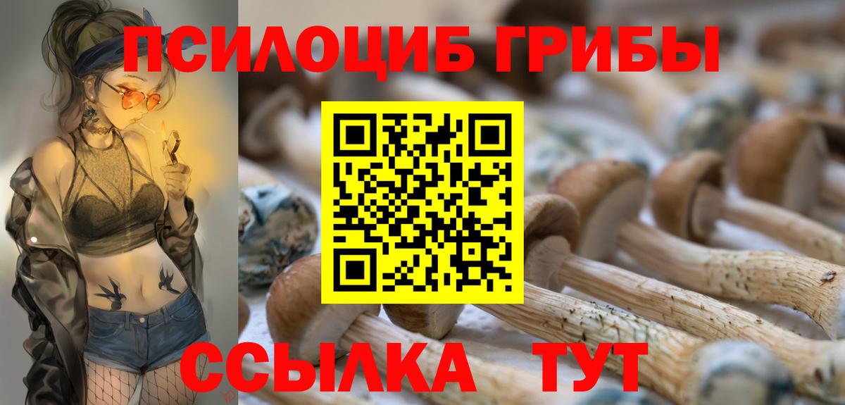 Галлюциногенные грибы мицелий Ефремов