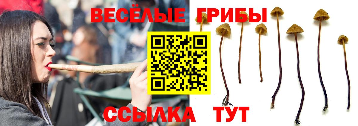 Ефремов  дарнет шоп  Псилоцибиновые грибы мухоморы  Вход с VPN  Галлюциногенные грибы Psilocybe 